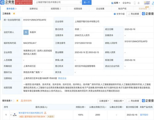 星宇股份于上海新設智行技術子公司，聚焦信息系統集成服務